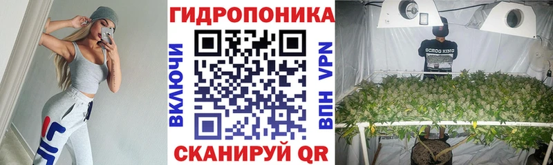 MEGA как войти  закладки  Астрахань  Бошки Шишки Ganja 